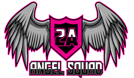 Logo of 2A Angel Hub